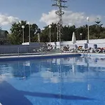 Hipocampos