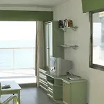 Hipocampos